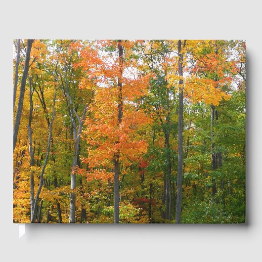 Herfst Maple Trees Autumn Natuur Fotografie Gastenboek (Voorkant)