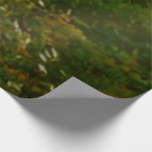 Herfst Maple Trees Autumn Natuur Fotografie Houten Poster (Hoek)