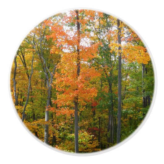 Herfst Maple Trees Autumn Natuur Fotografie Keramische Knop (Voorkant)