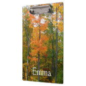 Herfst Maple Trees Autumn Natuur Fotografie Klembord (Links)