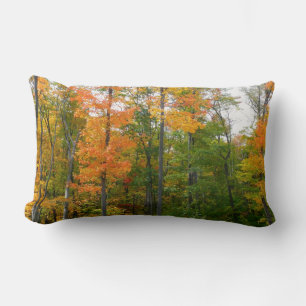 Herfst Maple Trees Autumn Natuur Fotografie Kussen
