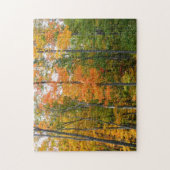 Herfst Maple Trees Autumn Natuur Fotografie Legpuzzel (Verticaal)