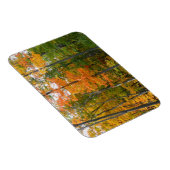 Herfst Maple Trees Autumn Natuur Fotografie Magneet (Rechterzijde)