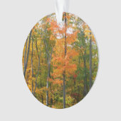 Herfst Maple Trees Autumn Natuur Fotografie Ornament (voorkant)