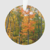 Herfst Maple Trees Autumn Natuur Fotografie Ornament (voorkant)