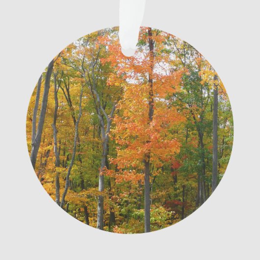 Herfst Maple Trees Autumn Natuur Fotografie Ornament (voorkant)