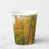 Herfst Maple Trees Autumn Natuur Fotografie Papieren Bekers (Rechts)