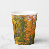 Herfst Maple Trees Autumn Natuur Fotografie Papieren Bekers (Voorkant)