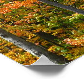 Herfst Maple Trees Autumn Natuur Fotografie Poster (Hoek)