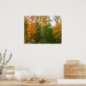 Herfst Maple Trees Autumn Natuur Fotografie Poster (Keuken)