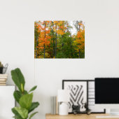 Herfst Maple Trees Autumn Natuur Fotografie Poster (Thuiskantoor)