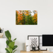 Herfst Maple Trees Autumn Natuur Fotografie Poster (Thuiskantoor)