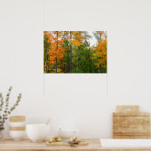 Herfst Maple Trees Autumn Natuur Fotografie Poster (Keuken)