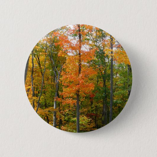 Herfst Maple Trees Autumn Natuur Fotografie Ronde Button 5,7 Cm (Voorkant)