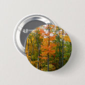 Herfst Maple Trees Autumn Natuur Fotografie Ronde Button 5,7 Cm (Voorkant /achterkant)