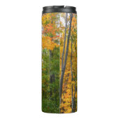 Herfst Maple Trees Autumn Natuur Fotografie Thermosbeker (Achterkant)