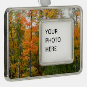 Herfst Maple Trees Autumn Natuur Fotografie Verzilverd Omlijst Ornament (Rechts)