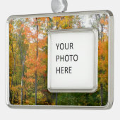 Herfst Maple Trees Autumn Natuur Fotografie Verzilverd Omlijst Ornament (Links)