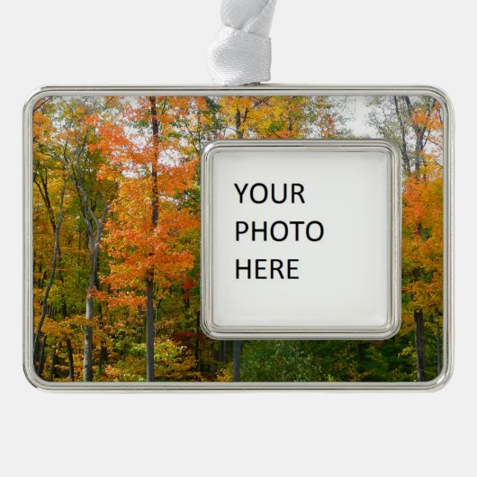 Herfst Maple Trees Autumn Natuur Fotografie Verzilverd Omlijst Ornament (Voorkant)