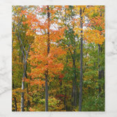 Herfst Maple Trees Autumn Natuur Fotografie Wijn Etiket (Enkel label)