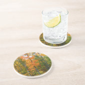 Herfst Maple Trees Autumn Natuur Fotografie Zandsteen Onderzetter (Zijkant)