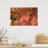 Herfst Maple verlaat HDR Poster (Keuken)