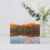 herfst marthaler park en reflecties in vijver na d briefkaart (Staand voorkant)