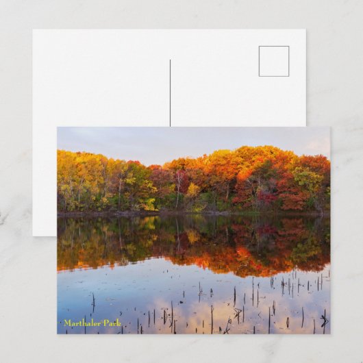 herfst marthaler park en reflecties in vijver na d briefkaart (Voorkant / Achterkant)