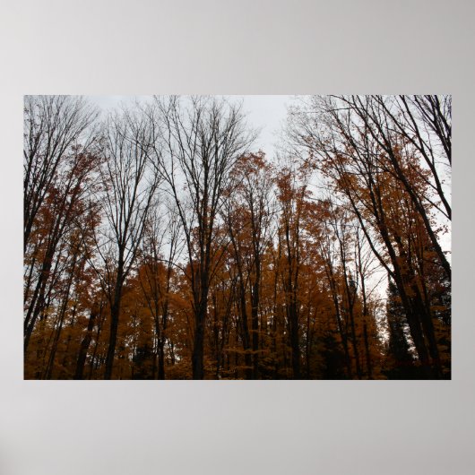 Herfst met vaste tal poster (Voorkant)