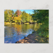 Herfst Michigan Briefkaart (Voorkant)