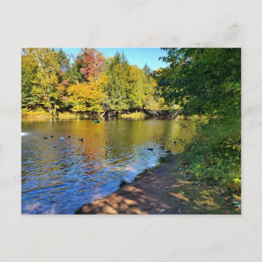 Herfst Michigan Briefkaart (Voorkant)