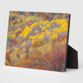 Herfst Michigan Fotoplaat (Zijkant)