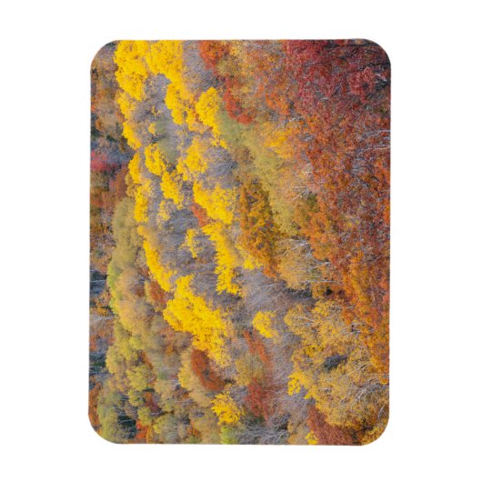 Herfst Michigan Magneet (Verticaal)