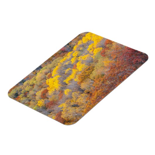 Herfst Michigan Magneet (Linkerzijde)