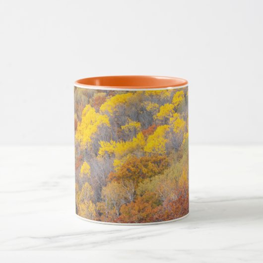 Herfst Michigan Mok (Midden)