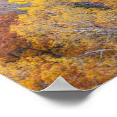 Herfst Michigan Poster (Hoek)