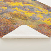 Herfst Michigan Sherpa Deken (3/4)