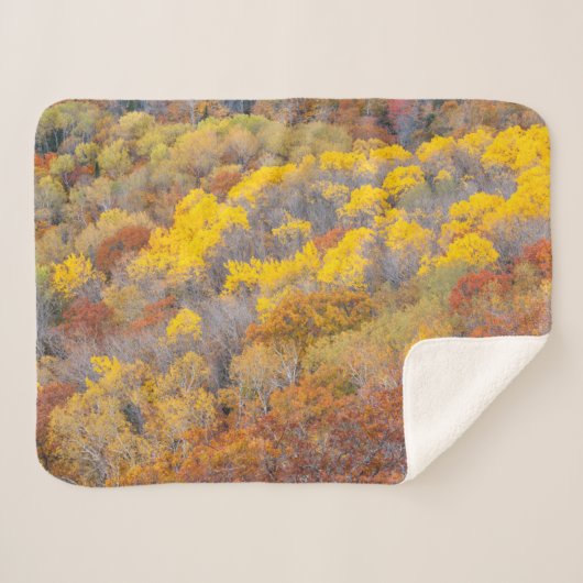 Herfst Michigan Sherpa Deken (Voorkant (horizontaal))