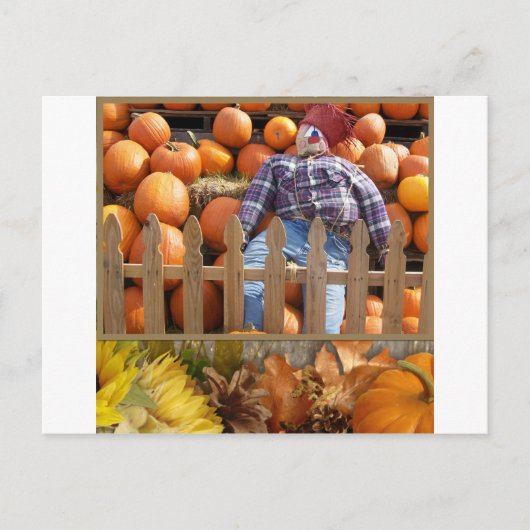 Herfst Midwest Briefkaart (Voorkant)