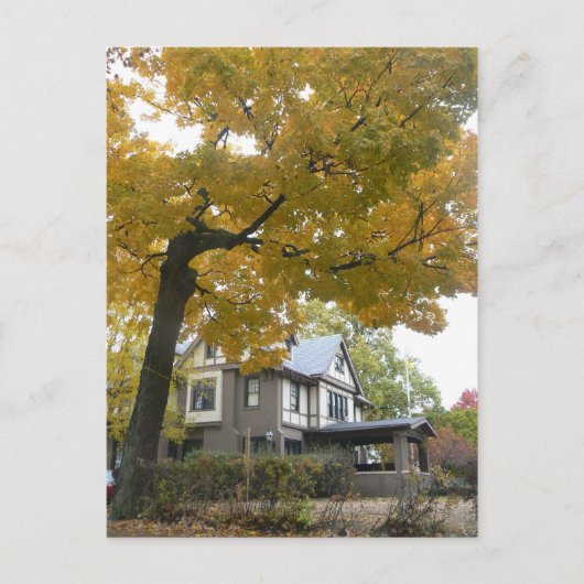Herfst moederschapscentrum briefkaart (Voorkant)