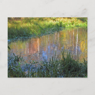 Herfst Moeras Briefkaart