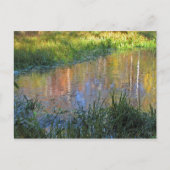 Herfst Moeras Briefkaart (Voorkant)