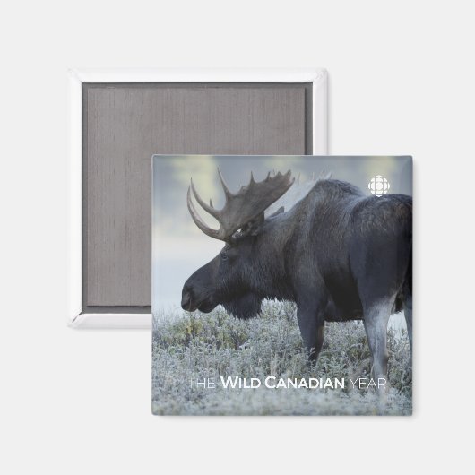 Herfst - Moose Magneet (Voorkant / Achterkant)