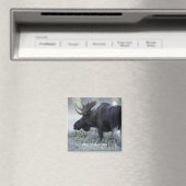 Herfst - Moose Magneet (Insitu (Vaatwasser))