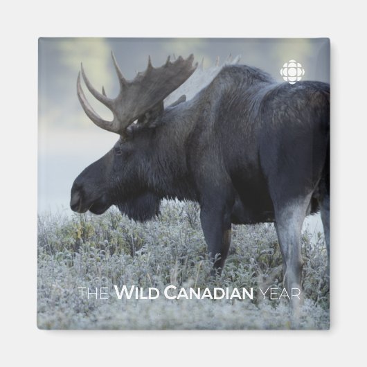 Herfst - Moose Magneet (Voorkant)