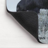 Herfst - Moose Muismat (Hoek)