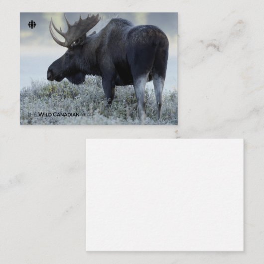 Herfst - Moose Notitiekaartje (Voorkant / Achterkant)