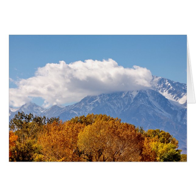 Herfst Morning (Voorkant Horizontaal)