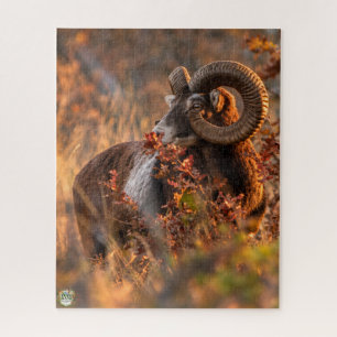 Herfst Mouflon in Gouden Licht Legpuzzel