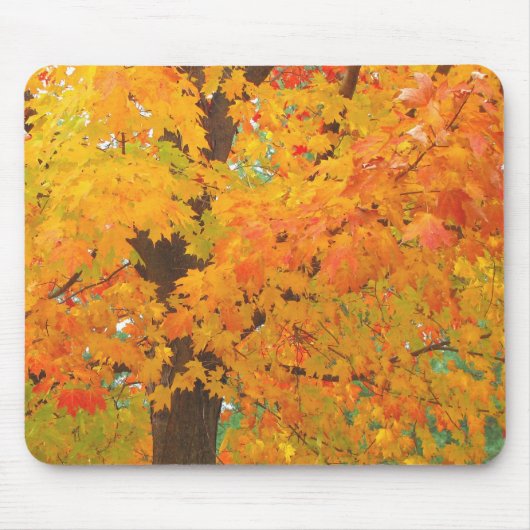 Herfst mousepad muismat (Voorkant)